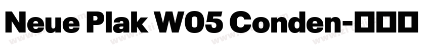 Neue Plak W05 Conden字体转换